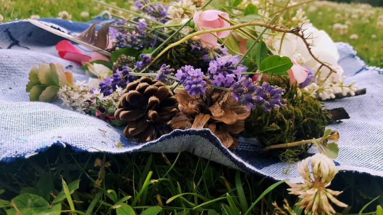 20536082_10155285550544550_410473746_o